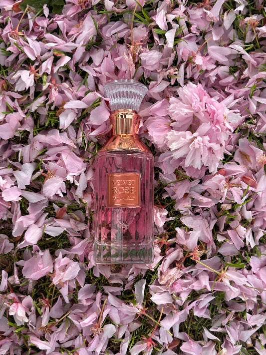 Velvet Rose