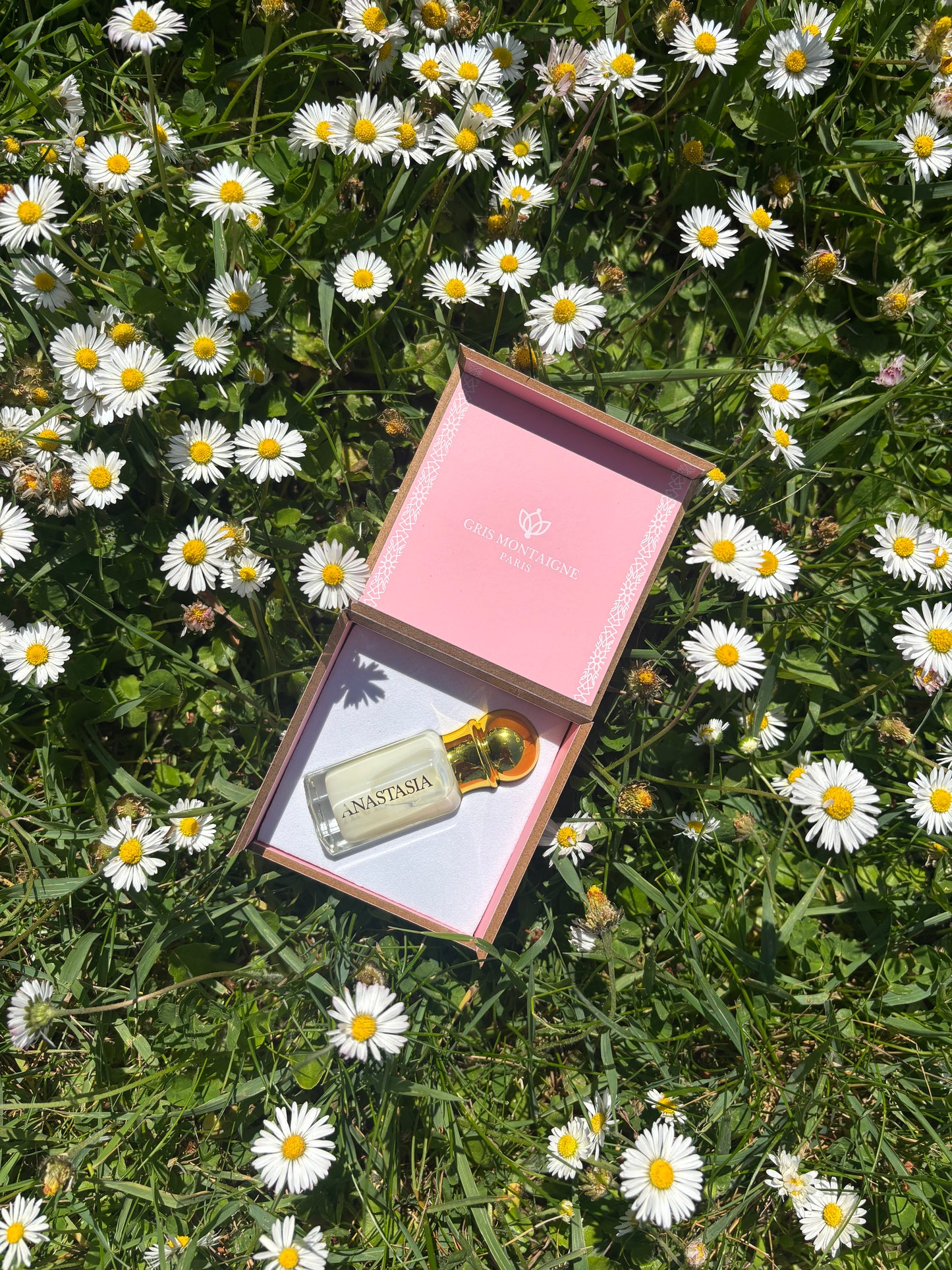 MUSC Tahara Anastasia