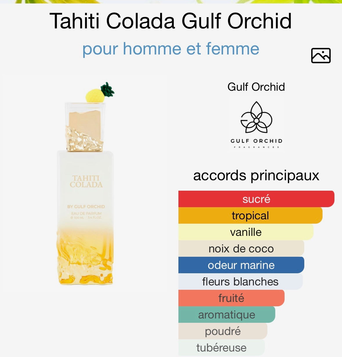 TAHITI COLADA